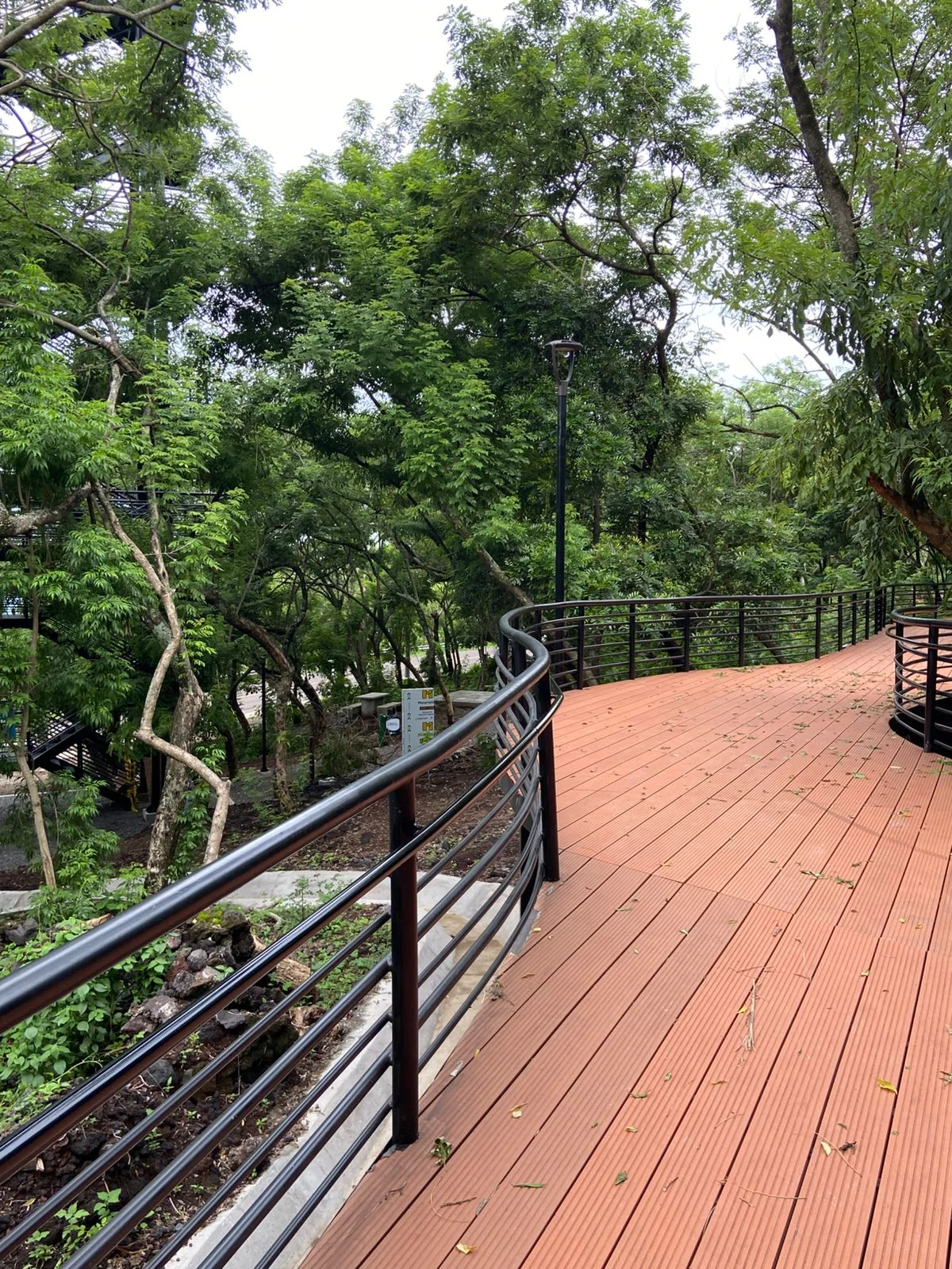 Parque Chaparrastique — foto 12